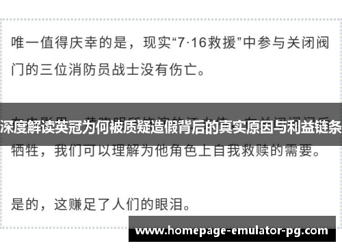深度解读英冠为何被质疑造假背后的真实原因与利益链条 深度解读英冠为何被质疑造假背后的真实原因与利益链条