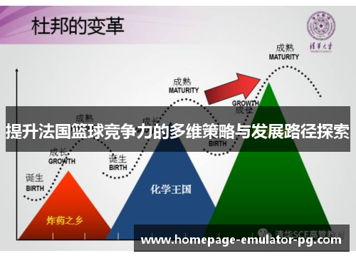 提升法国篮球竞争力的多维策略与发展路径探索