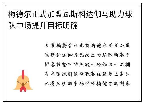 梅德尔正式加盟瓦斯科达伽马助力球队中场提升目标明确